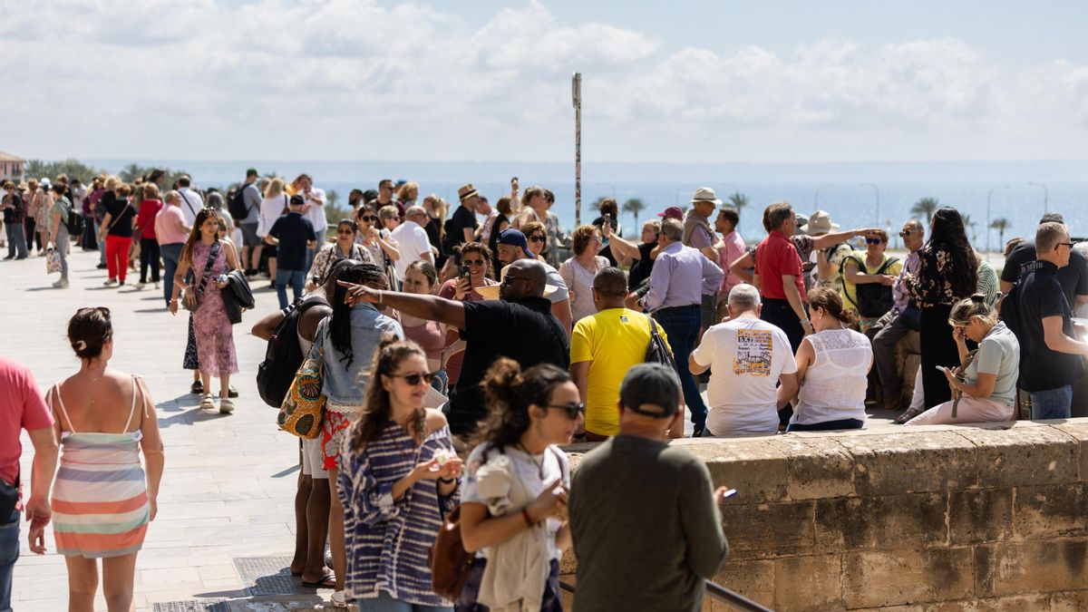 Diversos turistes als voltants de la catedral de Palma.