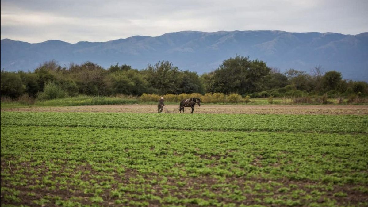 Extranjerización de tierras en Argentina