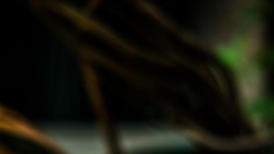 A nadie le amarga un dulce, por Asia: los 5 postres más queridos en todo Indonesia