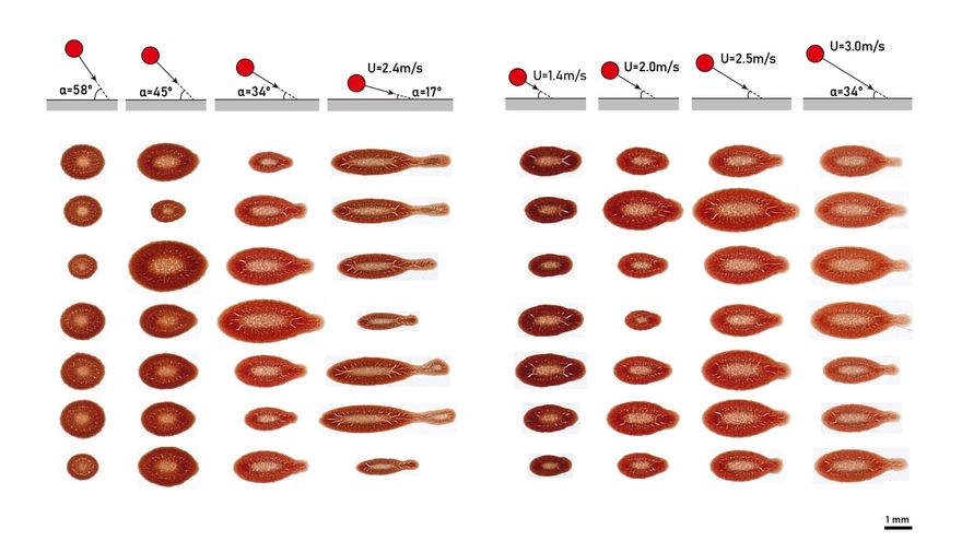 Una nueva herramienta forense permitirá 'leer' rastros mínimos de sangre en la escena de un crimen