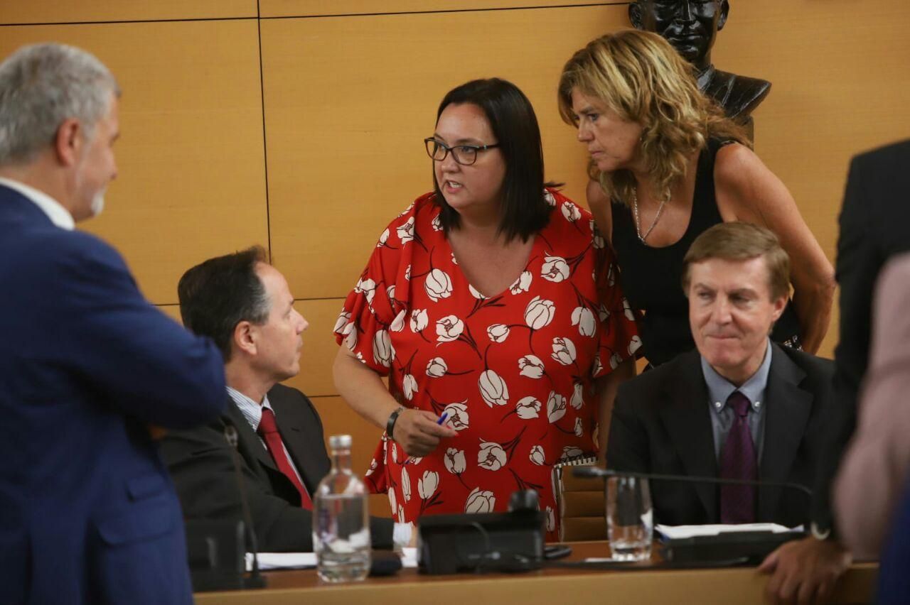 Pleno extraordinario en el Cabildo de Tenerife