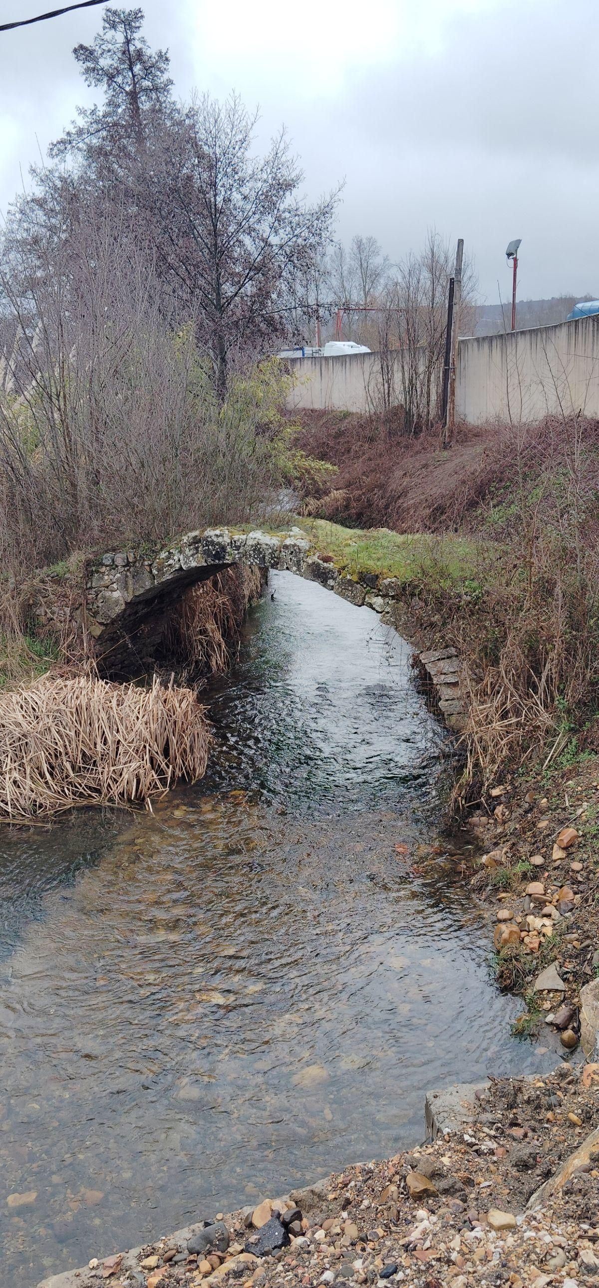 La Pontona de Sariegos en la Presa del Bernesga.
