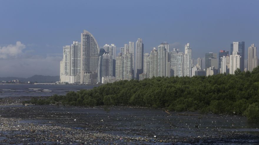 Renovables, IA y manglares, clave para hacer frente a la crisis climática en Latinoamérica