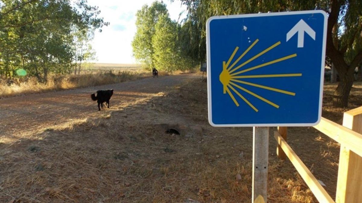 Señalización del Camino de Santiago a su paso por la provincia de León, archivo.