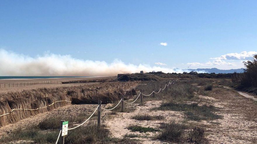 Un incendio en El Saler, en València, obliga a desalojar cinco edificios próximos al hotel Sidi y a cortar la CV-500