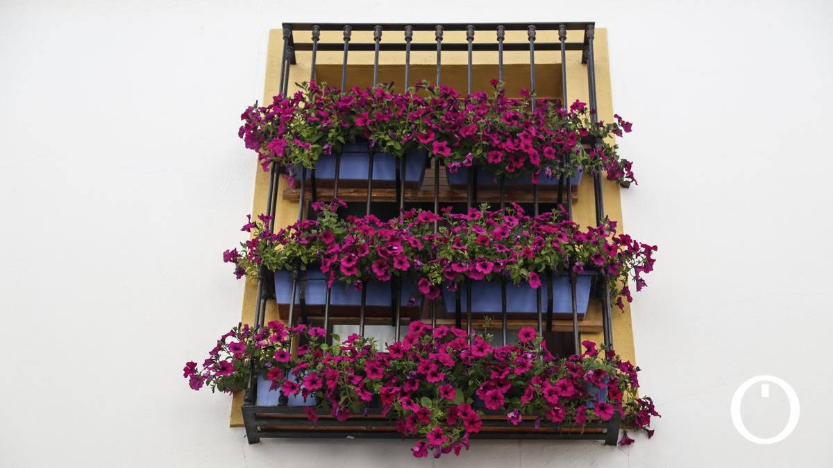 Rejas y Balcones en la C/ Cidros, 2