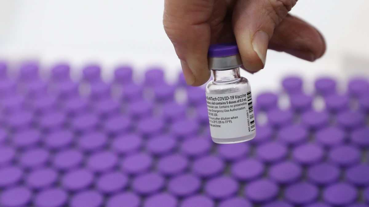 Vista de un lote de vacunas contra el coronavirus. Las autoridades israelíes decidieron hoy aplicar un nuevo confinamiento, el tercero desde el comienzo de la pandemia y que entrará en vigor el próximo domingo, informaron hoy medios locales.  EFE/EPA/ABIR SULTAN