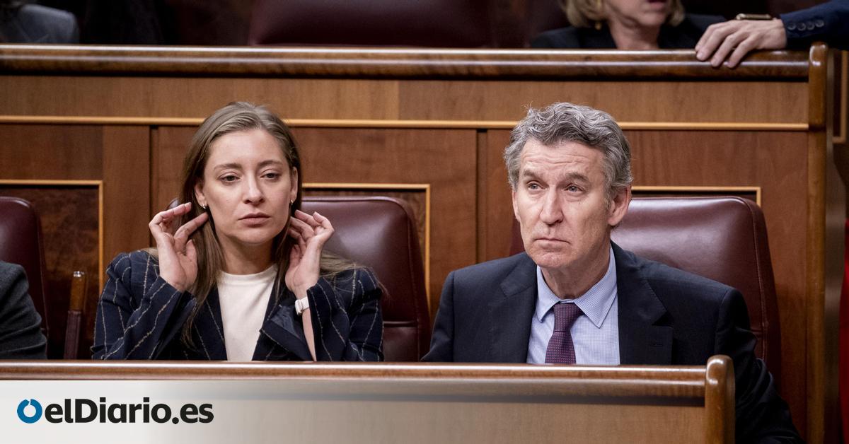 El PP hace gestos a Vox en plena negociación autonómica: apoyará su iniciativa para prohibir el burka y el niqab