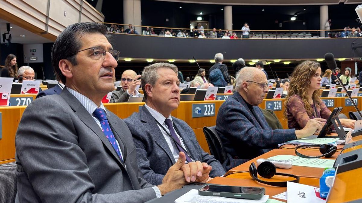 Castilla-La Mancha pide en Europa "compromiso" para garantizar el suministro y las inversiones en energías renovables