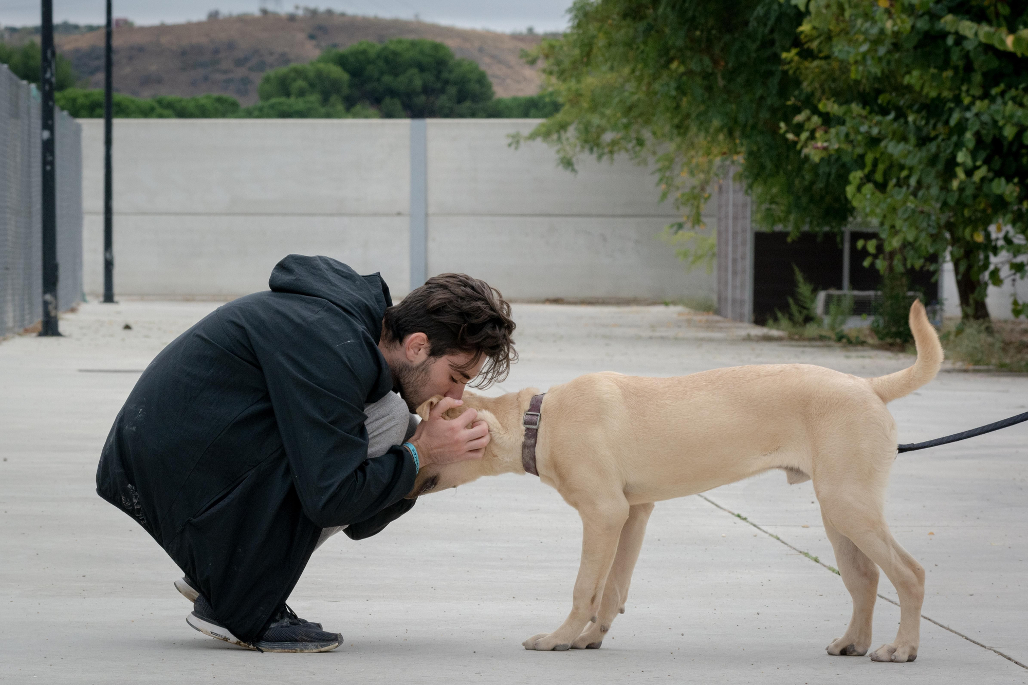Uno de los principales objetivos de la organización HOOPE es la difusión de los animales en situación de abandono y el fomento de su adopción.