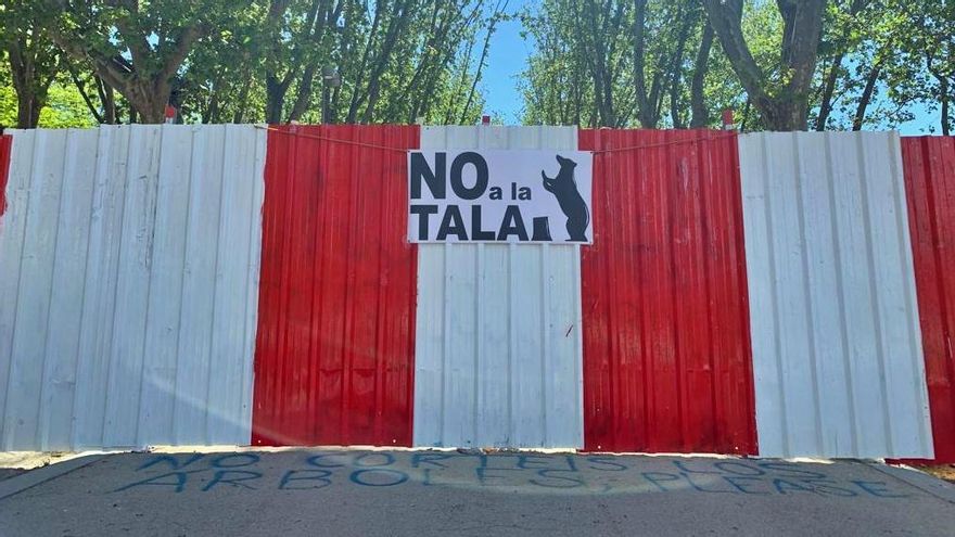 124 profesionales del urbanismo piden a Almeida que no autorice la tala de la arboleda histórica en Madrid Río