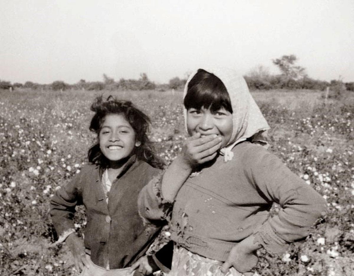 GS, Niñas en campo de algodón, Gran Chaco (1964)