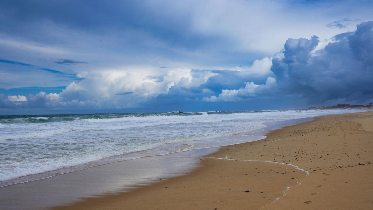 A una hora de Donostia: la historia de la playa de más de 100 kilómetros que es también el arenal más largo de Europa