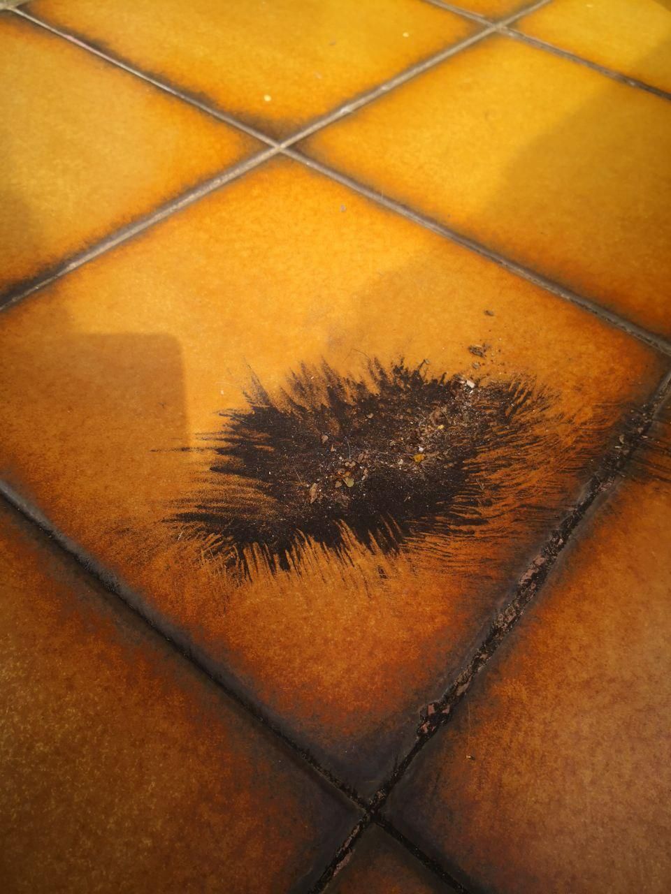 Cenizas del volcán de La Palma en una vivienda de Guamasa (Tenerife). / FOTO: CANARIAS AHORA