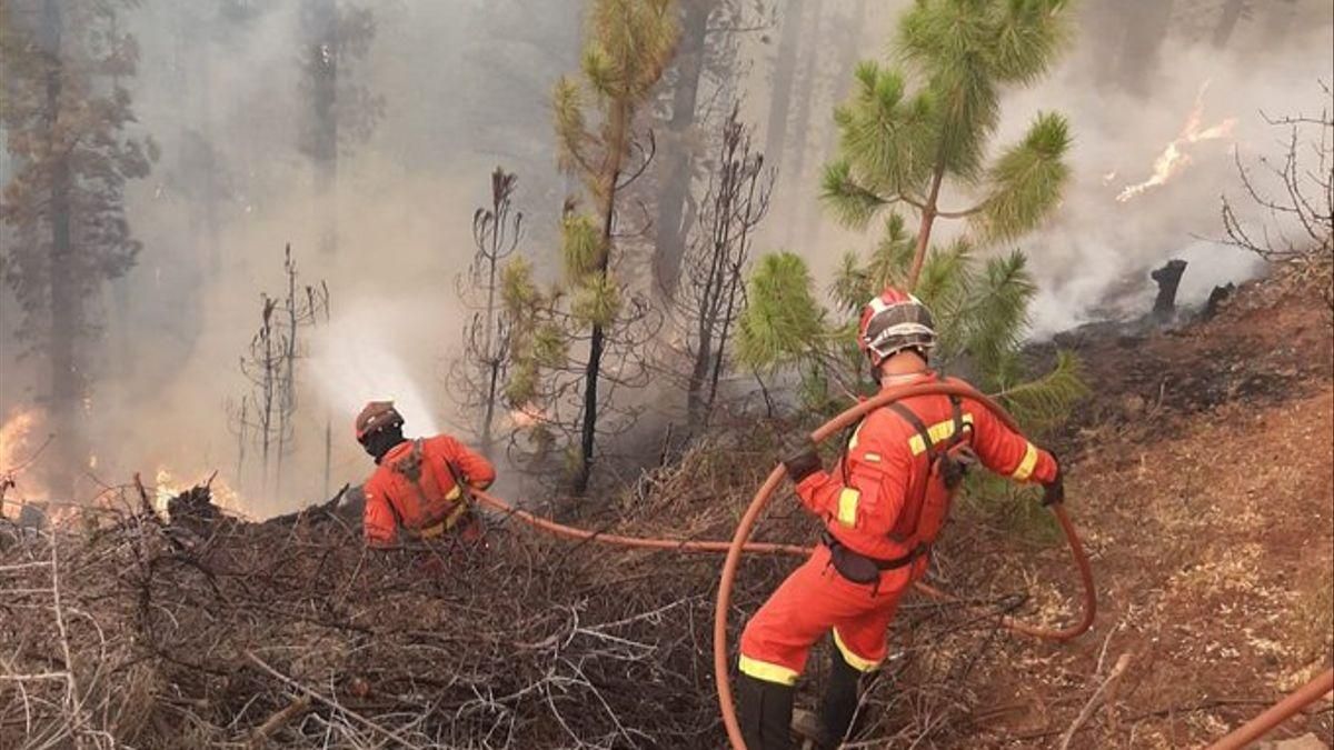 Imagen de archivo el reciente incendio forestal registrado en Garafía.
