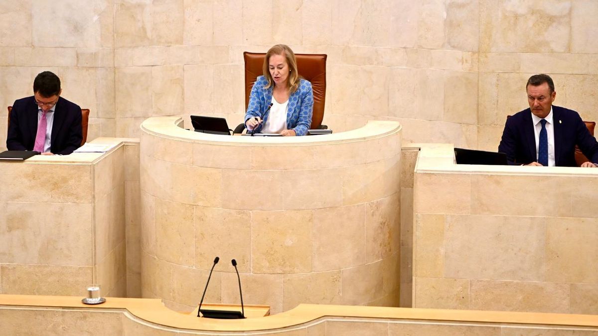 El Parlamento debate sobre las garantías de ejecución del Proyecto Altamira
