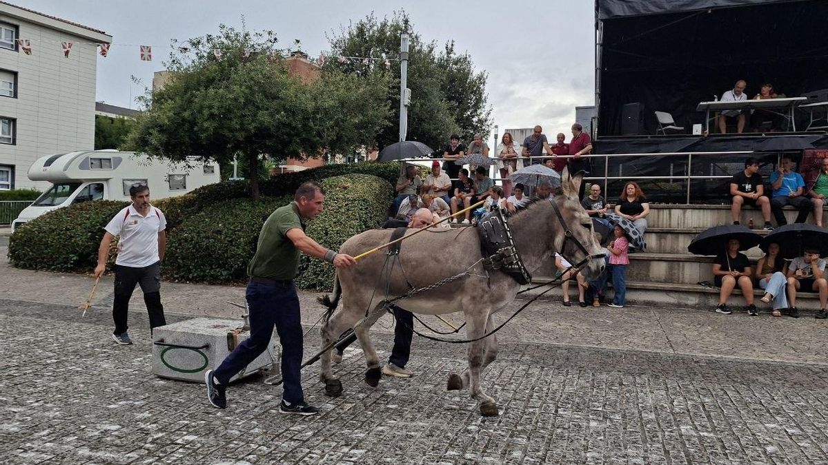 Asto Probak en le barrio de San Bartolomé de Leioa, en Bizkaia