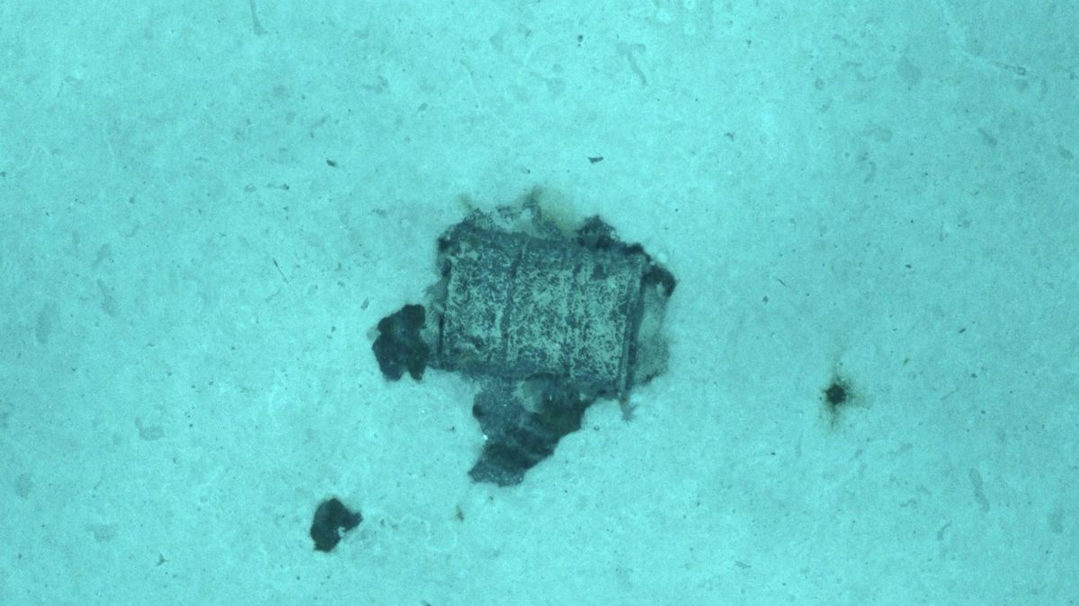 La expedición francesa localiza 3.350 bidones con residuos en el Atlántico y advierte de pequeñas fugas de alquitrán