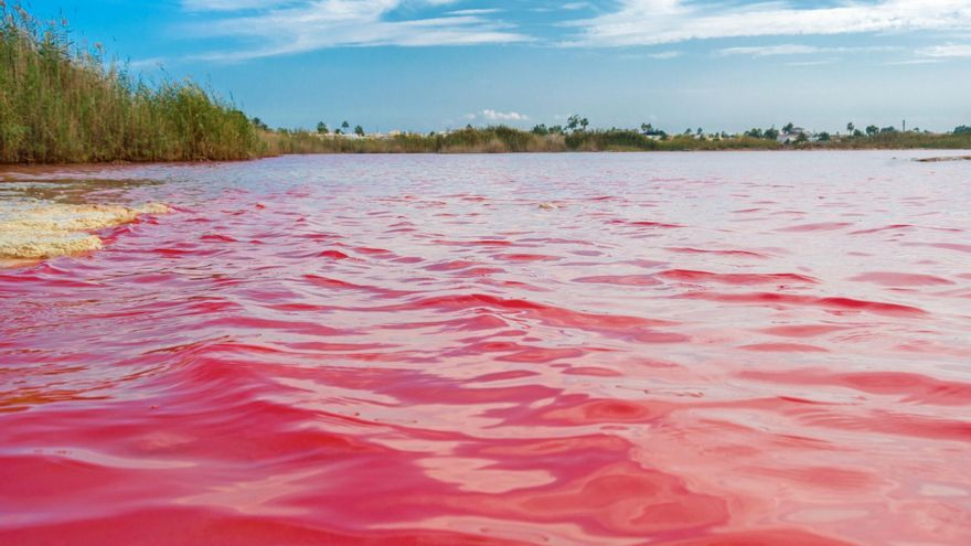 Esta es la preciosa laguna de 1.400 hectáreas y con tanta sal como el Mar Muerto pero en la que está prohibido bañarse