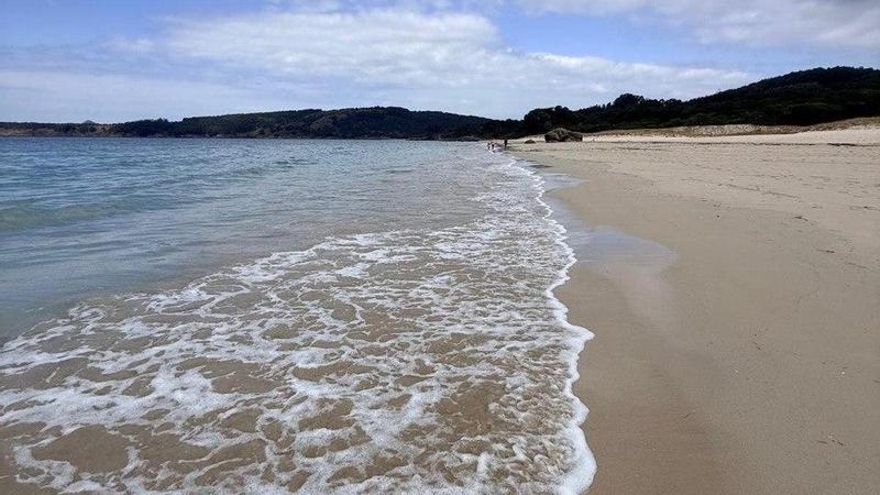 Greenpeace alerta de la crisis climática en Galicia: 19 puntos críticos, 63 especies amenazadas y temperaturas desbocadas