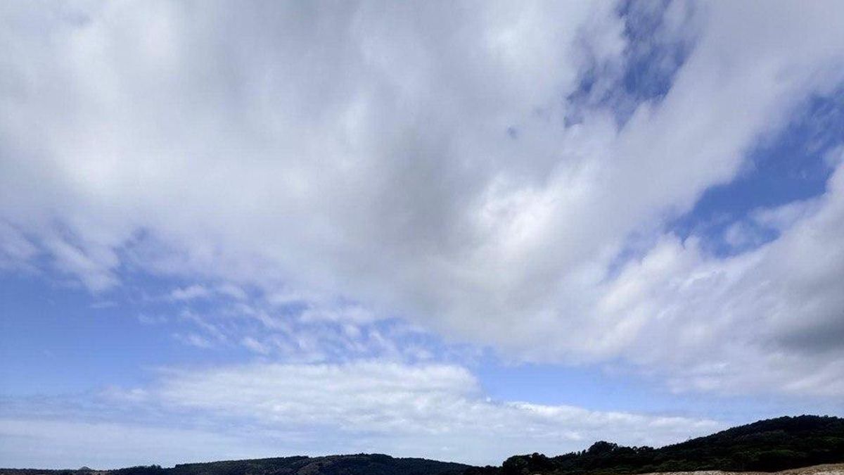 Greenpeace alerta de la crisis climática en Galicia: 19 puntos críticos, 63 especies amenazadas y temperaturas desbocadas