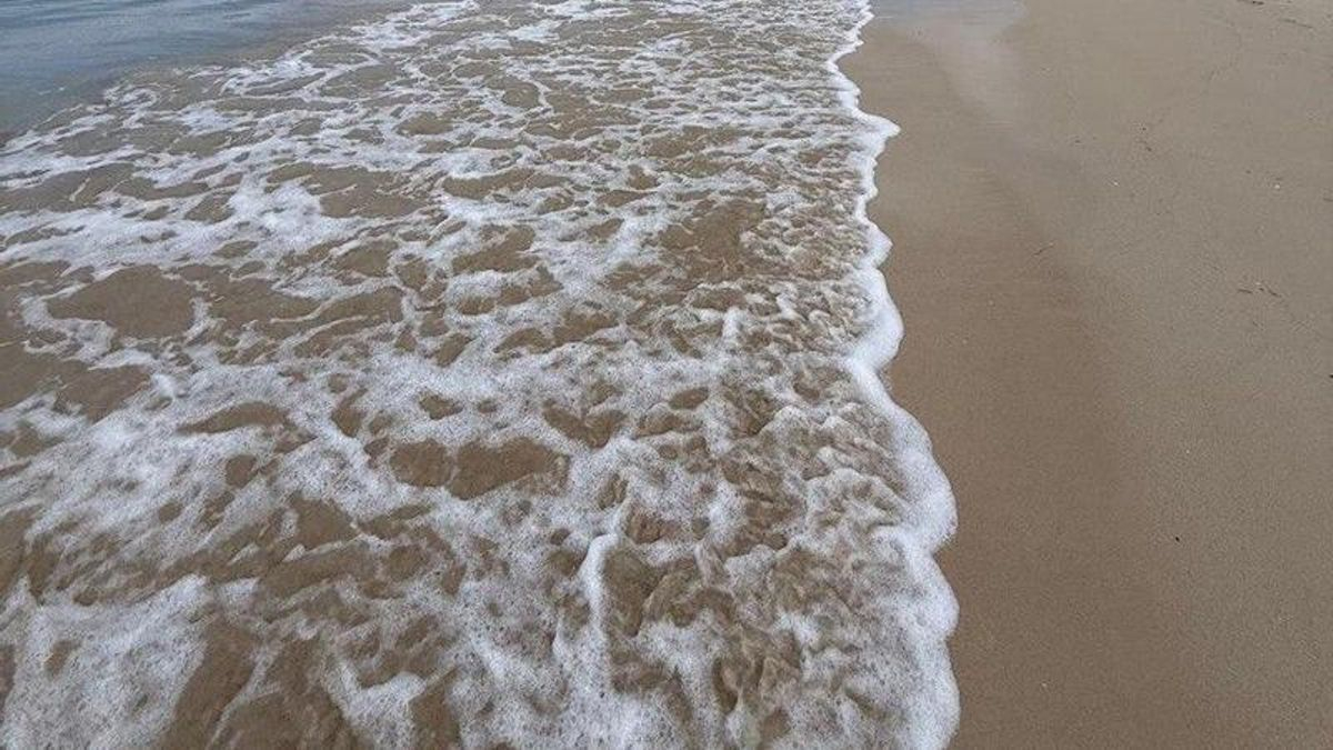 Greenpeace alerta de la crisis climática en Galicia: 19 puntos críticos, 63 especies amenazadas y temperaturas desbocadas