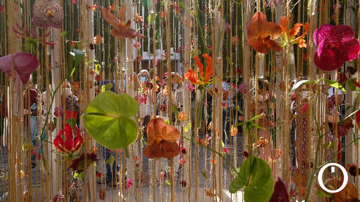 Instalación de Flora 2021 en el Palacio de Viana