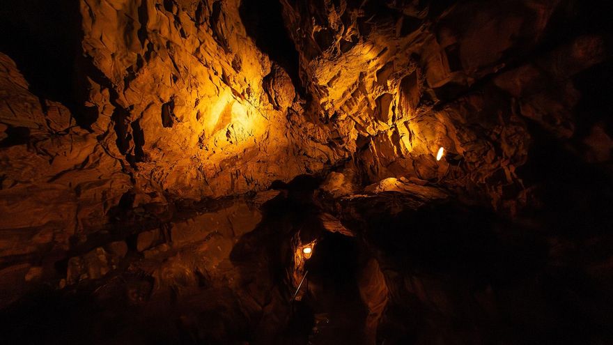 A group of Neanderthals found in a Belgian cave are baffling scientists because of their biological profile
