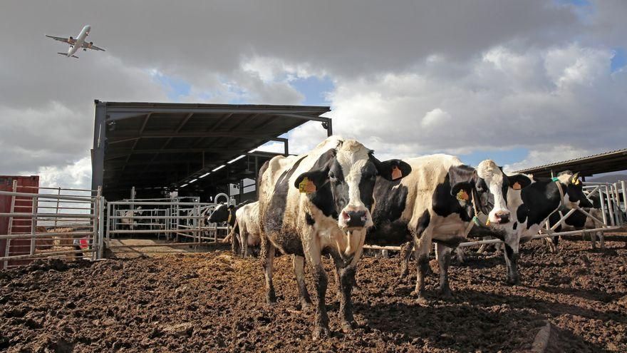 Las consecuencias de la invasión rusa a Ucrania en la economía canaria