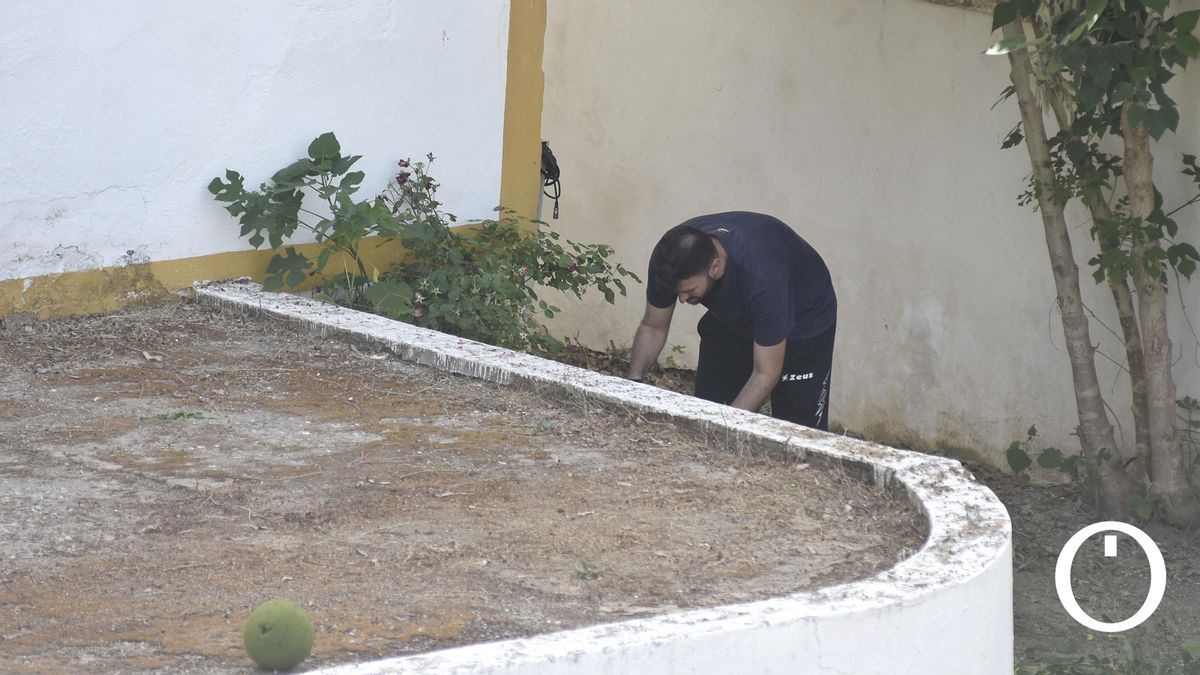 Comienzan los trabajos de desbroce en el Cine Delicias