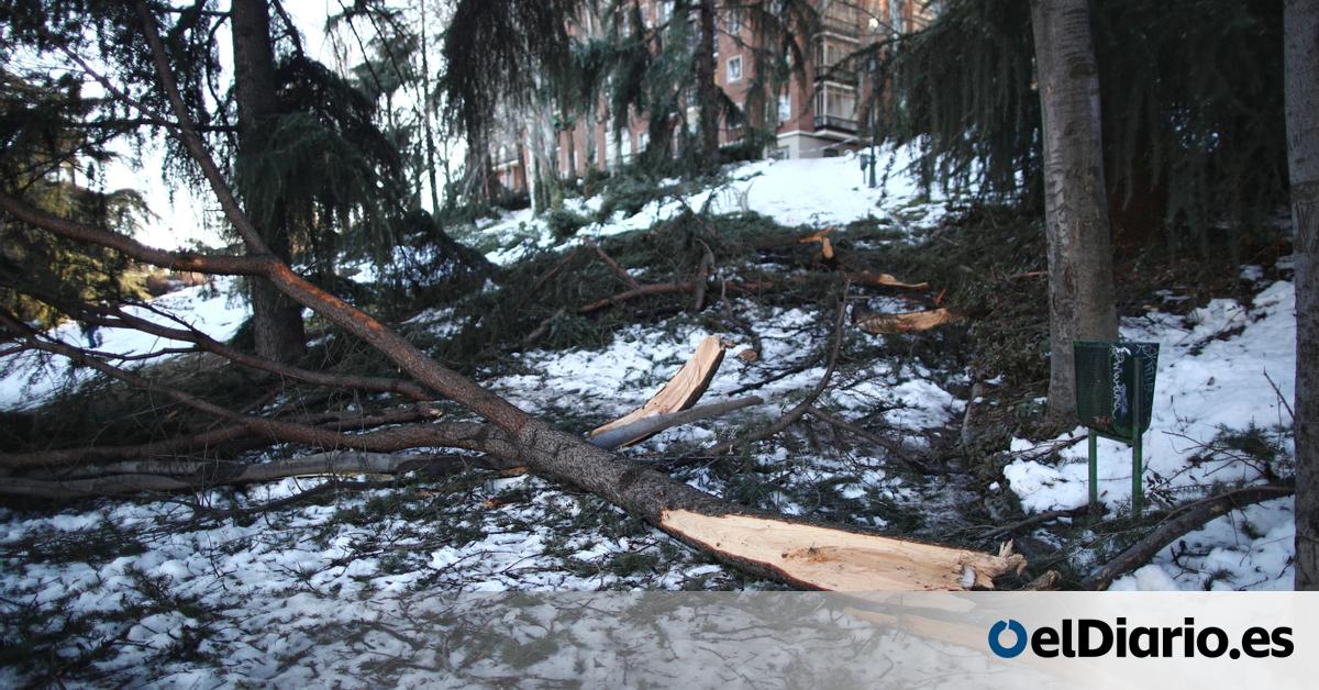 Tras La Nieve Y La Lluvia Viento Aemet Alerta De Rachas De 100 Km H En Zonas Con Arboles Danados Por Filomena