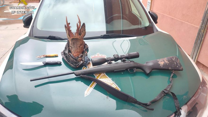 Dos personas detenidas por caza furtiva y darse a la fuga en Molina de Aragón