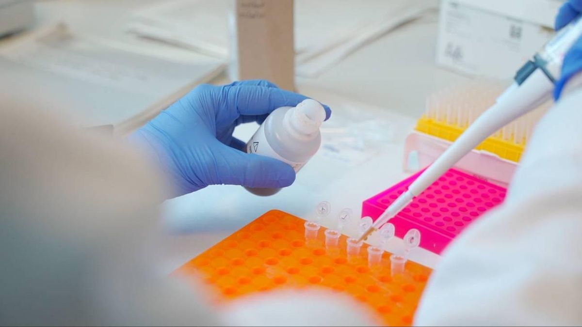 Identifican biomarcadores que señalan el inicio de la llegada de la menopausia