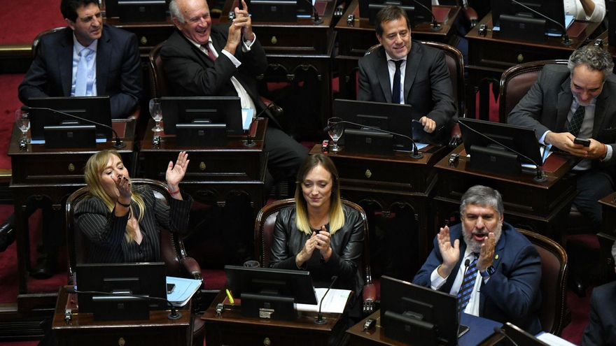 El Senado rechazó el proyecto de ley de ficha limpia y no podrá volver a ser tratado este año