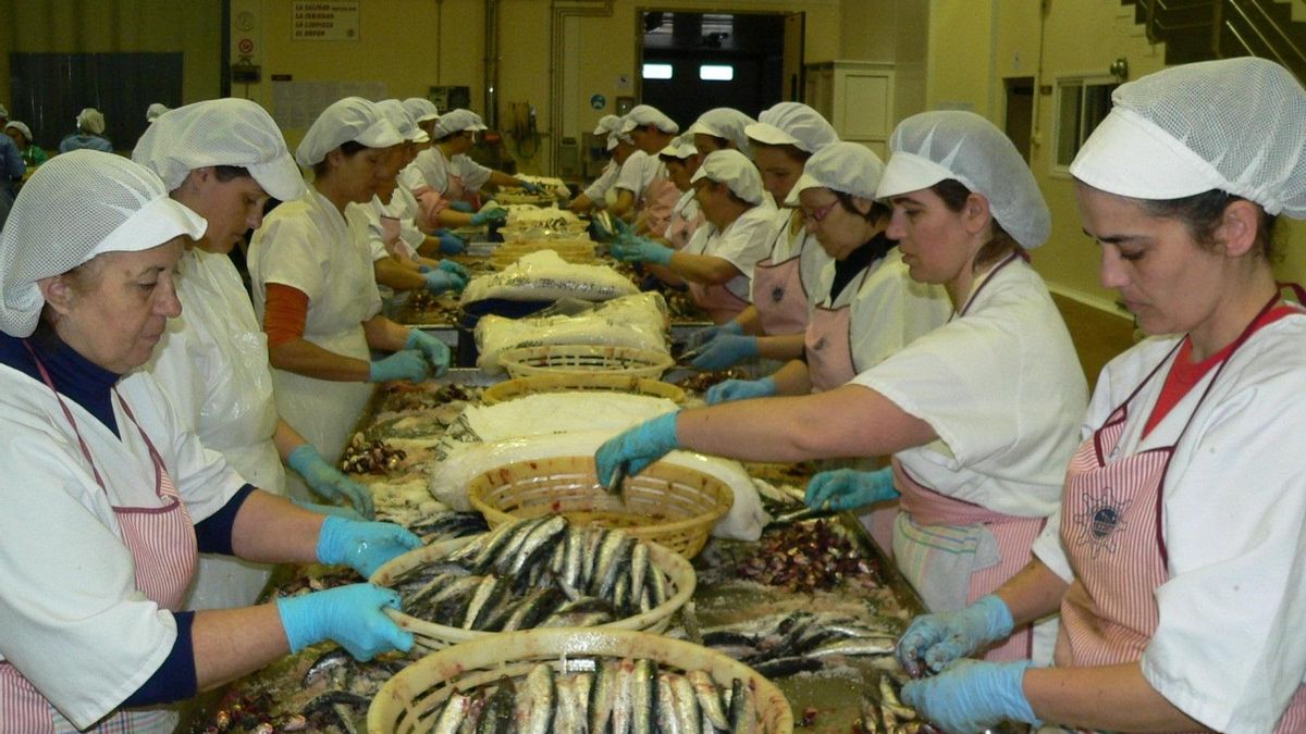 Trabajadoras de una fábrica de anchoas en una foto de archivo