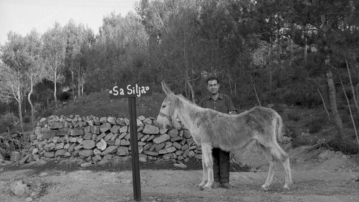Los carboneros, los guardianes de los bosques en peligro de desaparición: "Es un trabajo muy sacrificado"