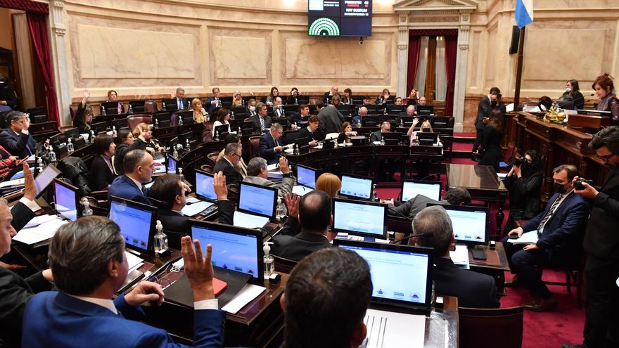 El Senado aprobó el proyecto de ley para regularizar deudas previsionales