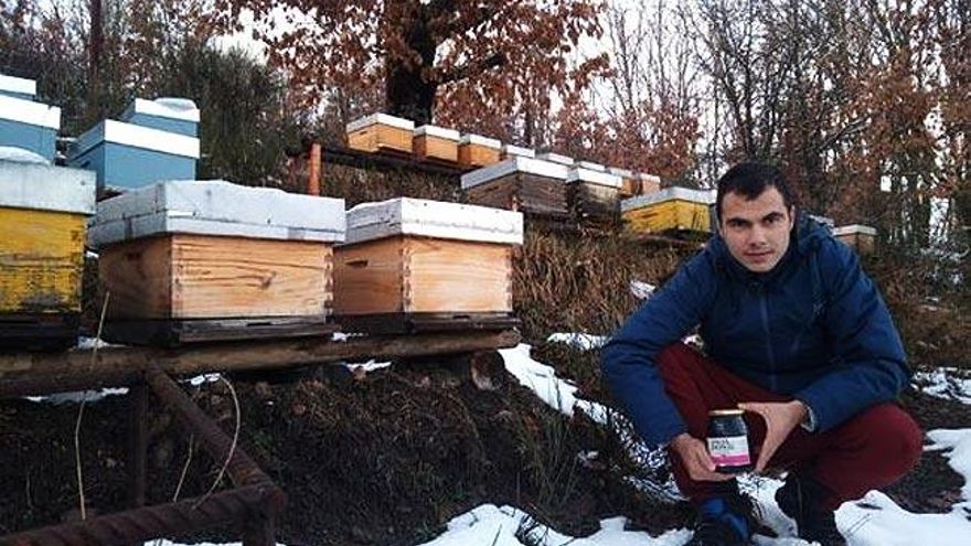 Una miel de brezo y roble de León, elegida la mejor de España en el certamen Mieladictos