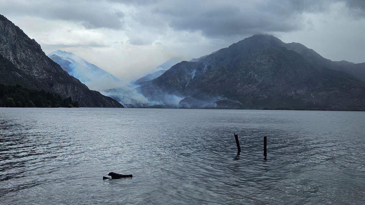 Argentina: incendios forestales afectan la calidad del agua en la Patagonia y expertas alertan sobre el consumo humano | ESTUDIO