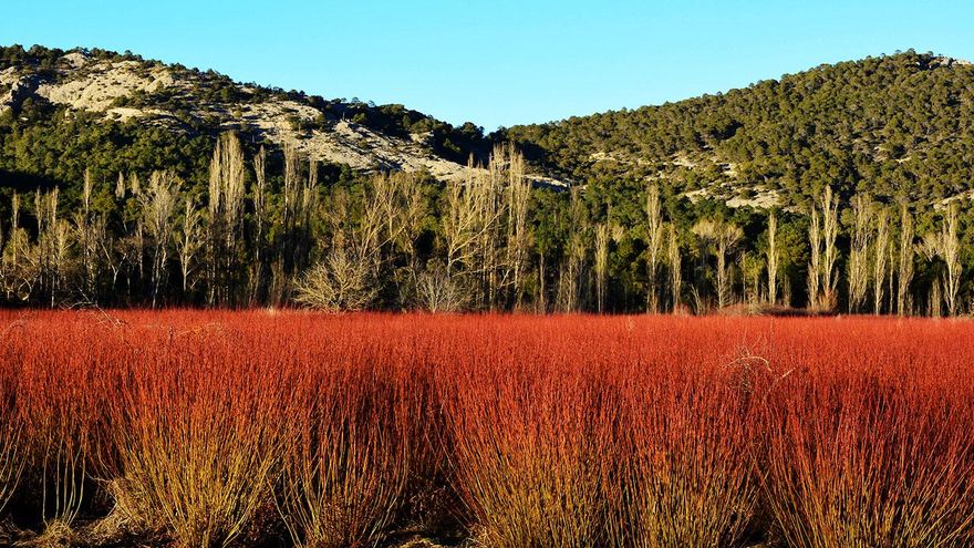El pequeño pueblo de piscinas naturales de aguas cristalinas e inmensos y rojizos campos de mimbre