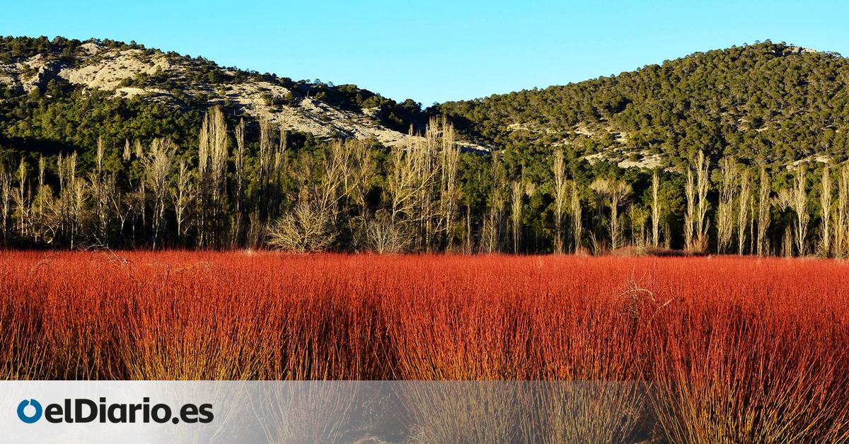 El pequeño pueblo de piscinas naturales de aguas cristalinas e inmensos y rojizos campos de mimbre
