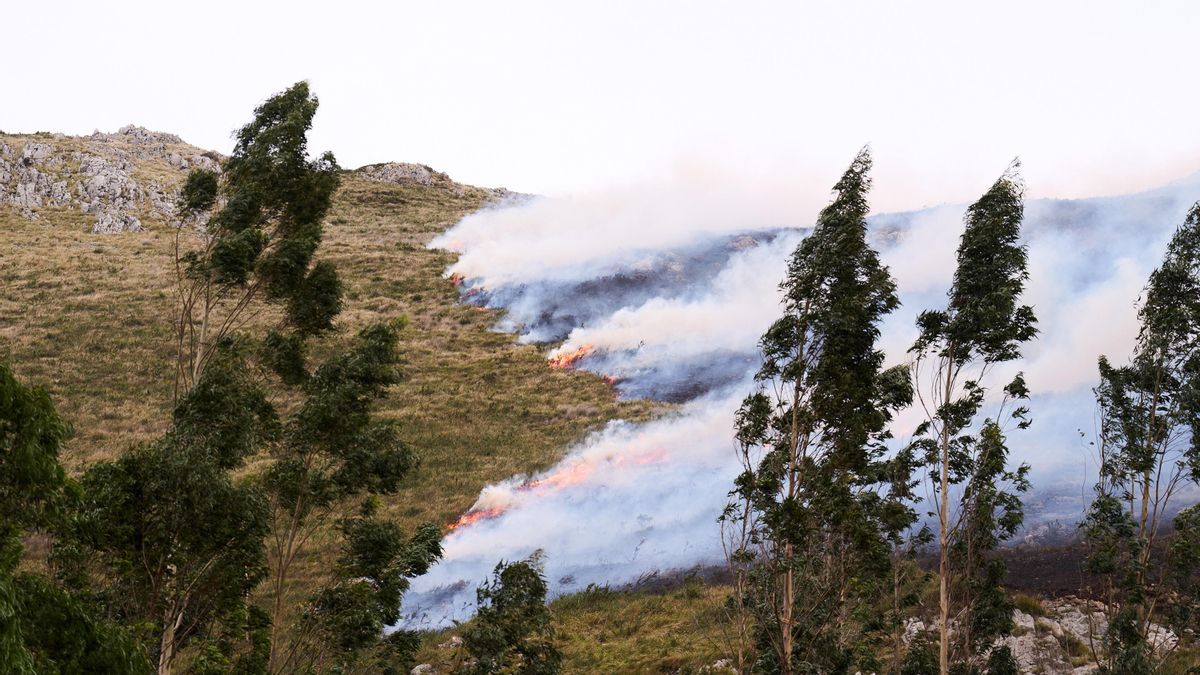 Cantabria amanece con un solo incendio forestal activo de los 156 registrados en abril