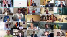 Una imagen de los participantes en la reunión por videoconferencia.