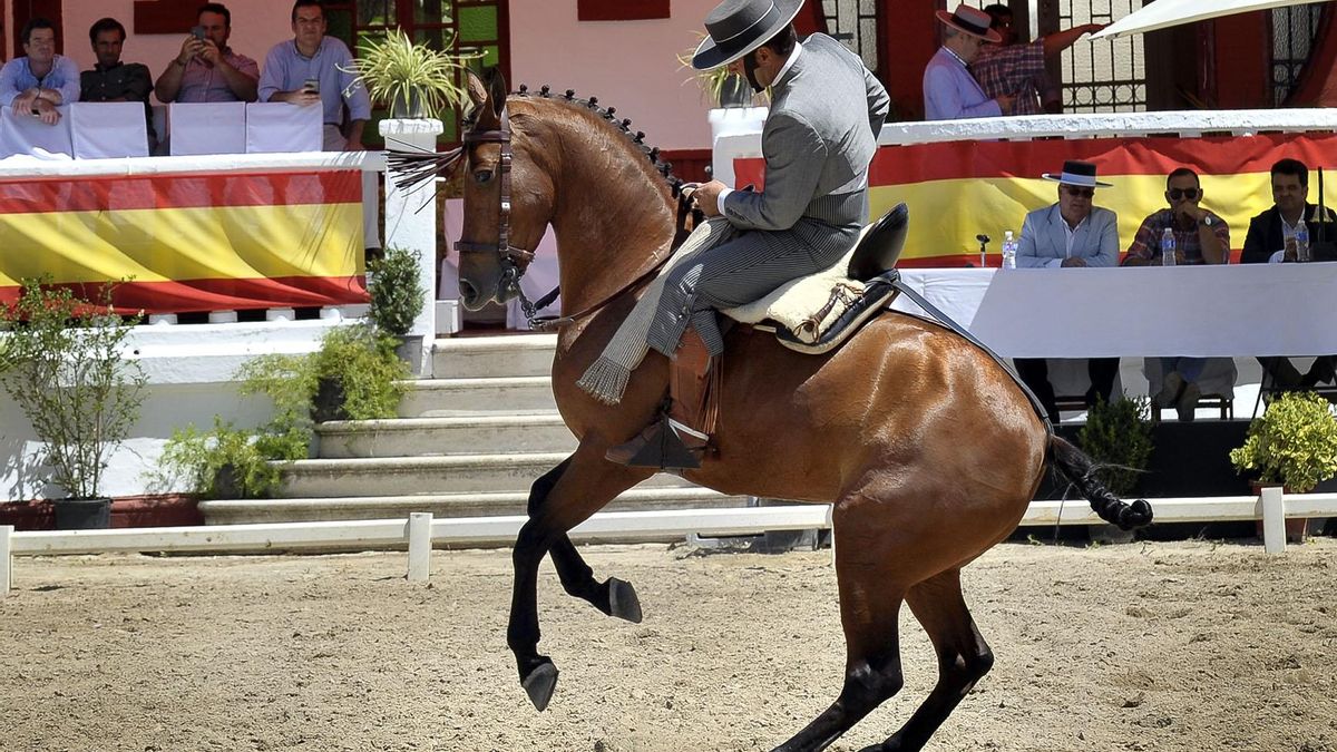 Castilla y León inicia el expediente para declarar su "doma vaquera" Bien de Interés Cultural inmaterial