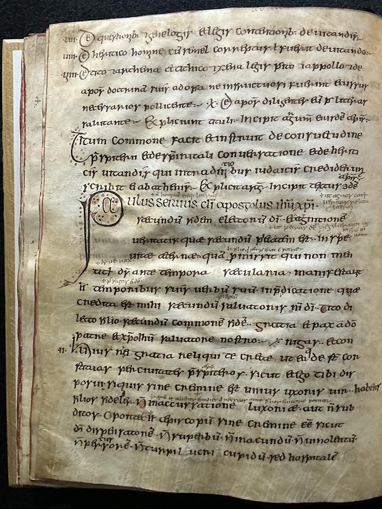 Página al completo de uno de los manuscritos analizados