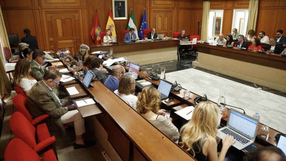 Pleno ordinario de junio del Ayuntamiento