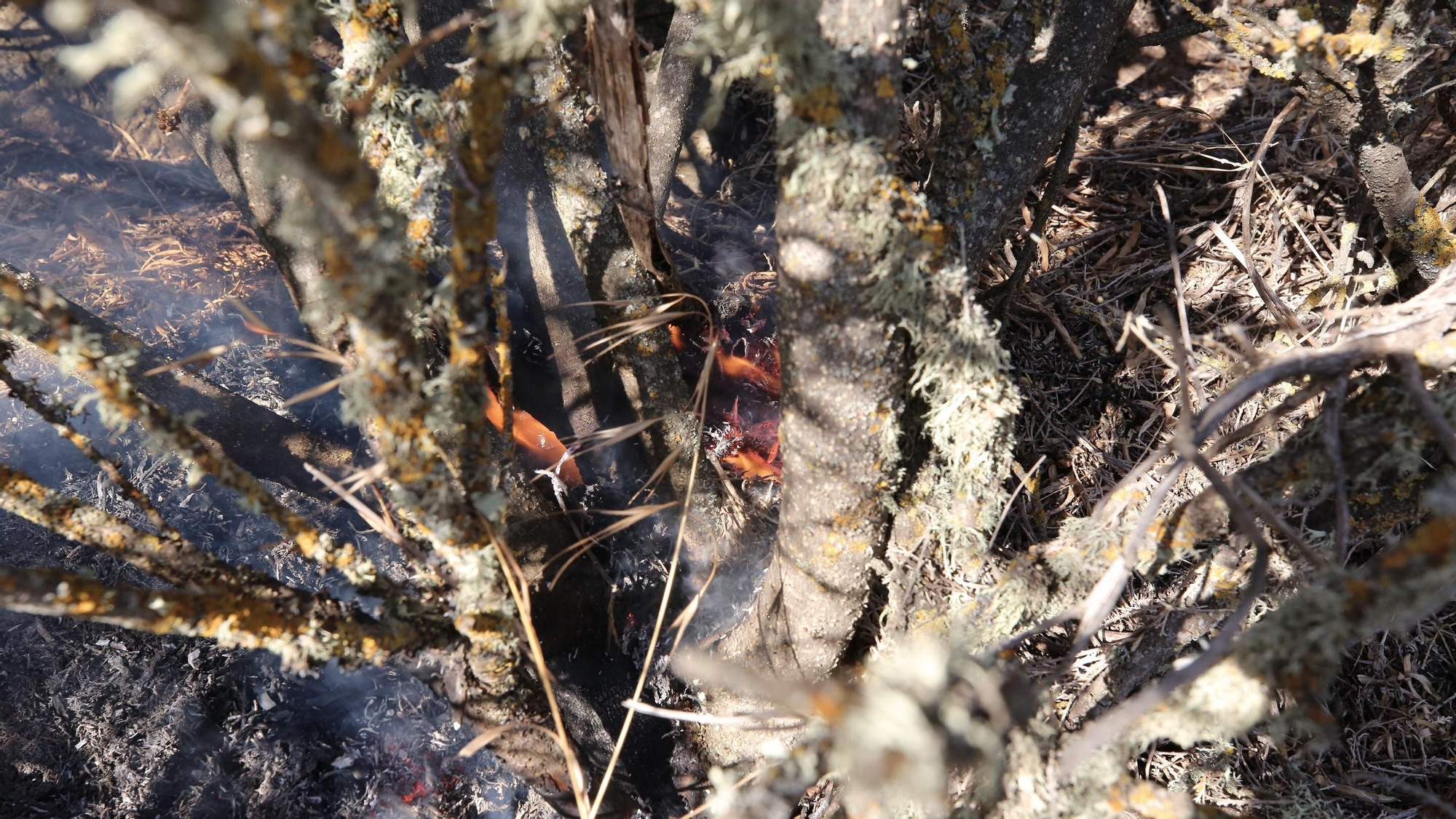El incendio de Telde, desde los altos del pueblo de La Pasadilla.