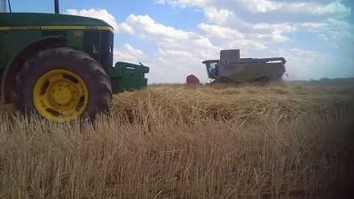 Tractores en un terreno agrícola.