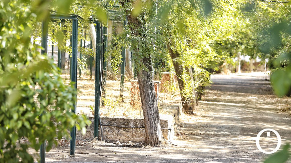 Camping de El Brillante