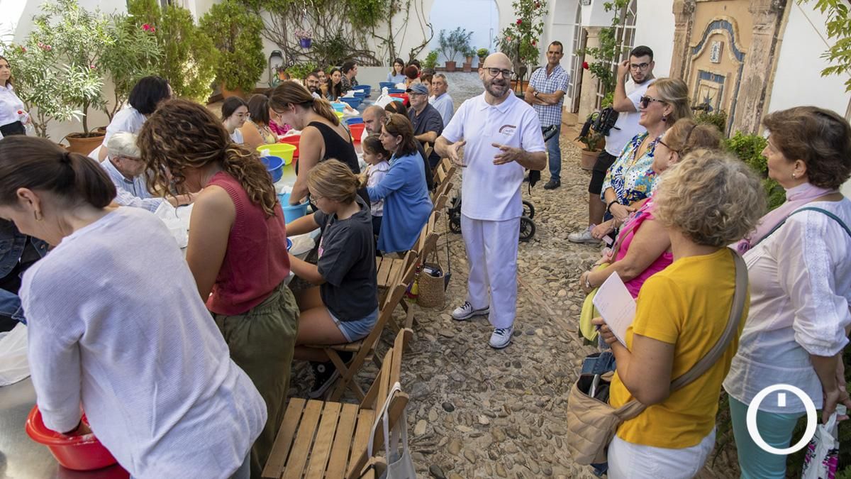 Imágenes de la tercera jornada de Ars Olea
